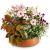 Send Planter-Always-Remembered-for-the-cemetery to Liechtenstein