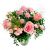 Send Mothers-Day-Surprise to Finland