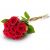 Send Seven-graduation-roses to Finland