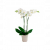 Send Orchid to Croatia