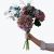Send Hydrangea-for-Fall-240418 to Norway