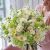 Ultimate Luxury Neutral Bouquet