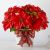 Send Happiest-Holidays-Poinsettia to United States