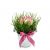 Send Flower-arrangement-Sweet-Easter-Present to Switzerland