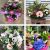 Send Bouquet-of-Seasonal-Cut-Flowers to United Kingdom