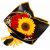 Send SunRoses to Panama