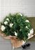 Send Gardenia-Plant to Italy