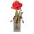Send Indoor-plant-Lady-in-Red-amaryllis to Switzerland