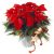 Send Red-Poinsettia-Christmas-Style-Min to China