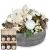 Send Flower-arrangement-Great-Moments-with-fairy-lights-and-Bee-F to Liechtenstein