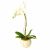 Send Orchid-In-Ceremic-Vase-Subject-to-availability to South Africa