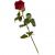 Send 1-Red-Rose-Min to Switzerland