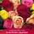Send 12-Roses-Long-Stem to Andorra