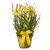 Send A-Gift-of-Spring-in-Yellow-planted to Liechtenstein