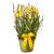 Send A-Gift-of-Spring-in-Yellow-planted to Switzerland