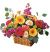 Send Basket-of-Mixed-Flowers to Bolivia