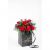 Send Best-Wishes-220705 to Norway
