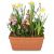 Send Cheerful-Little-Spring-Garden to Switzerland