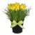 Send Easter-Special-arrangement to Switzerland