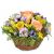 Send Gift-of-Spring to Switzerland
