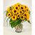 Send Girasoli to Italy