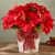 Send HAPPIEST-HOLIDAYS-POINSETTIA to United States