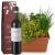 Send Herb-Box-planted-with-Ripasso-Albino-Armani-DOC-75cl to Liechtenstein