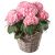 Send Hydrangea-pink to Switzerland