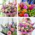 Send Lavish-Stocks-Extra-Dreamy-Pastels-Bouquet to United Kingdom