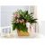 Send Living-Spirit-Dishgarden to United States