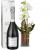 Send Magic-orchid-with-vase-and-Prosecco-Albino-Armani-DOC-75cl to Switzerland