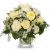 Send Natural-lightness to Switzerland