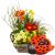 Send Playful-Spring-Mini-Garden-planted-with-chocolate-ladybird to Switzerland
