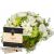 Send Spring-Dream-in-a-Basket-with-Gottlieber-Hppen-Special-Edition-for-Fleurop to Switzerland
