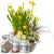 Send Sunny-Spring-Garden-planted-with-Gottlieber-tea-gift-set-and-hanging-gift-tag-Happy-Birthday to Switzerland