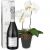 Send White-Dream-orchid-with-Prosecco-Albino-Armani-DOC-75cl to Liechtenstein
