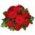 Tantalizing 12 Red Roses-Min