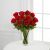 The Long Stem Red Rose Bouquet by FTD - VASE INCLUDED