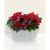 Poinsettia Basket