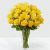 24 Yellow Roses in Vase