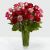 24 Red and Pink Roses in Vase