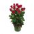 12 Red Roses in Vase