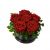 Small Flower Box, Red Roses
