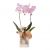 Floral arrangement with pink orchid