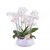 Centrepiece of white Phalaenopsis plants-Min