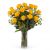 18 Long-stemmed Yellow Roses-Min