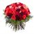 60 Short-stemmed Multicoloured Roses
