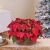 Basket of two Poinsettias plants