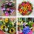 Florist Choice Hand-tied - Brights-Min