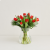 The Red Tulips